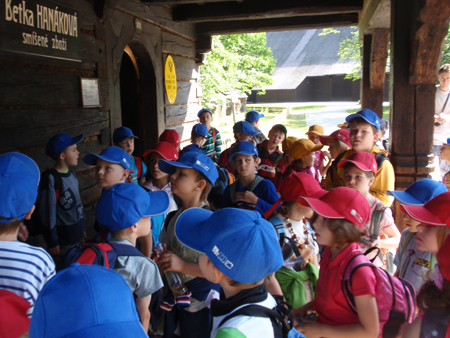 4PvP1B.1C.ctvr (188)